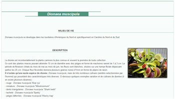 Fiches culture