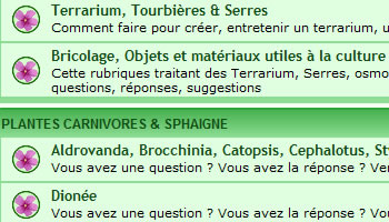Le Forum Carnivore